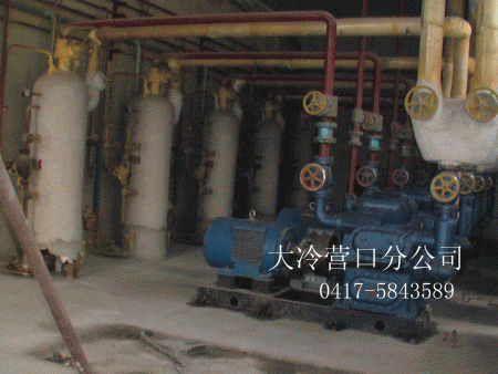 鞍山千山蔬菜加工基地